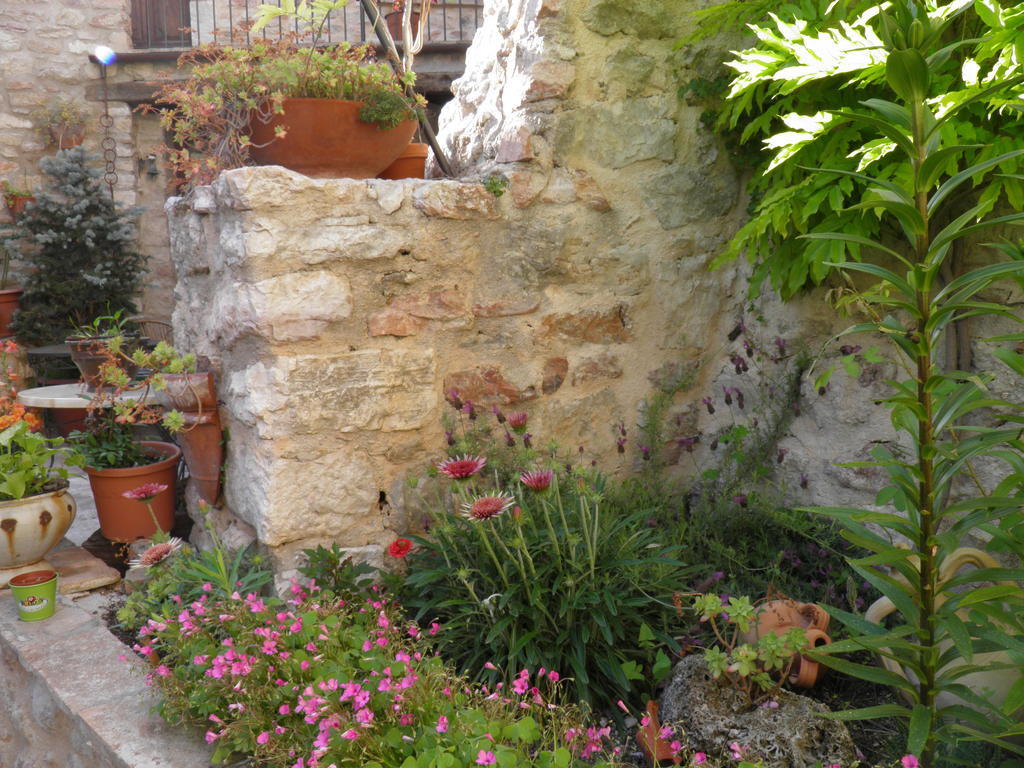 Hotel Residenza Di Paese Castello Del Poggio Ferentillo Zewnętrze zdjęcie