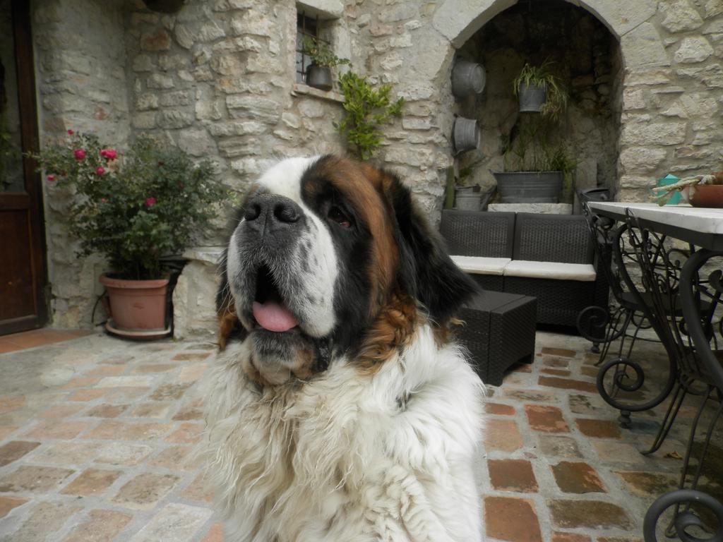 Hotel Residenza Di Paese Castello Del Poggio Ferentillo Zewnętrze zdjęcie
