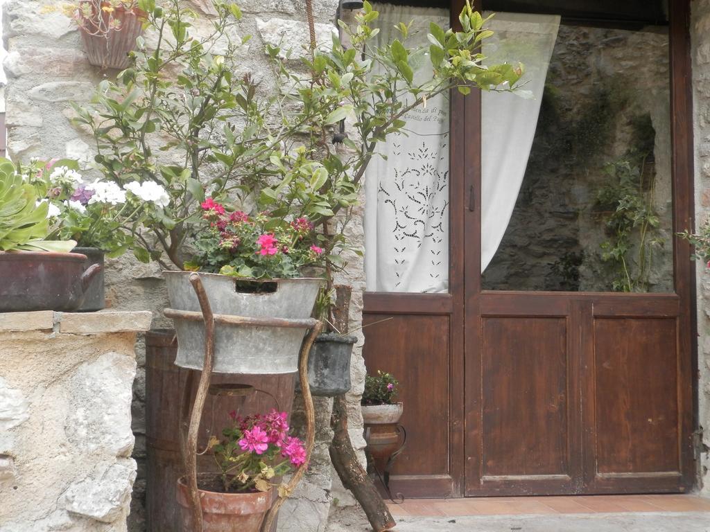 Hotel Residenza Di Paese Castello Del Poggio Ferentillo Zewnętrze zdjęcie